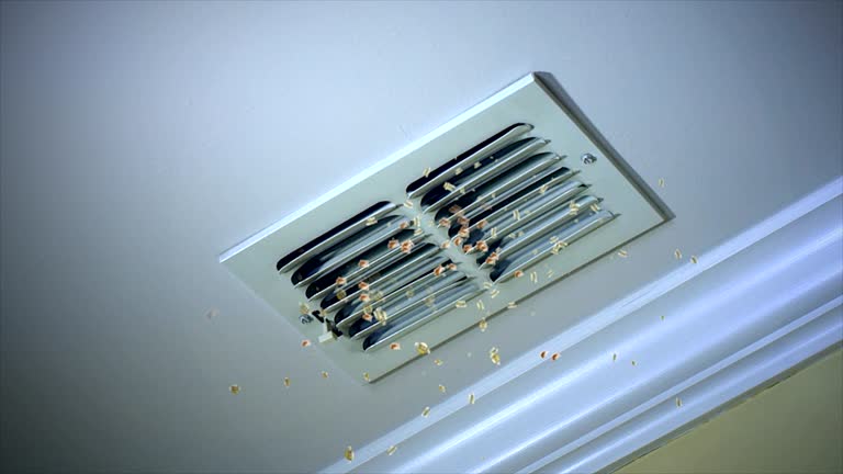 Best Air Duct Cleaning Cost  in Pinetop Lakeside, AZ